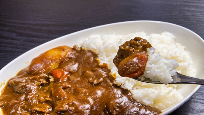 【価格重視★お部屋食】カレーライス＊サラダ付《朝食なし＊夕食付プラン》【ご宿泊4〜11月】